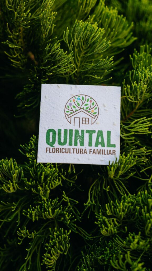 cartão de visita quadrado ecológico plantável