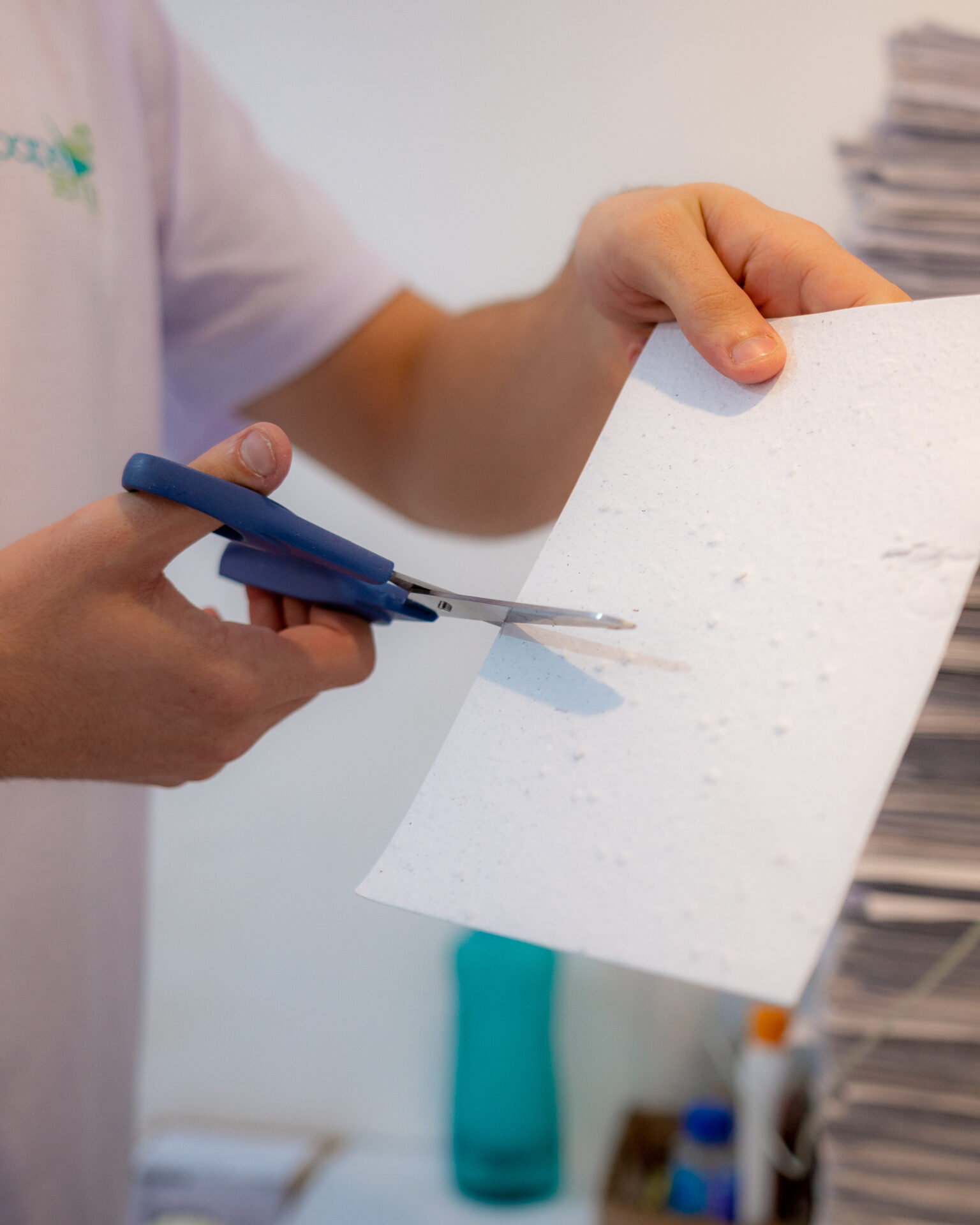 papel que vira planta