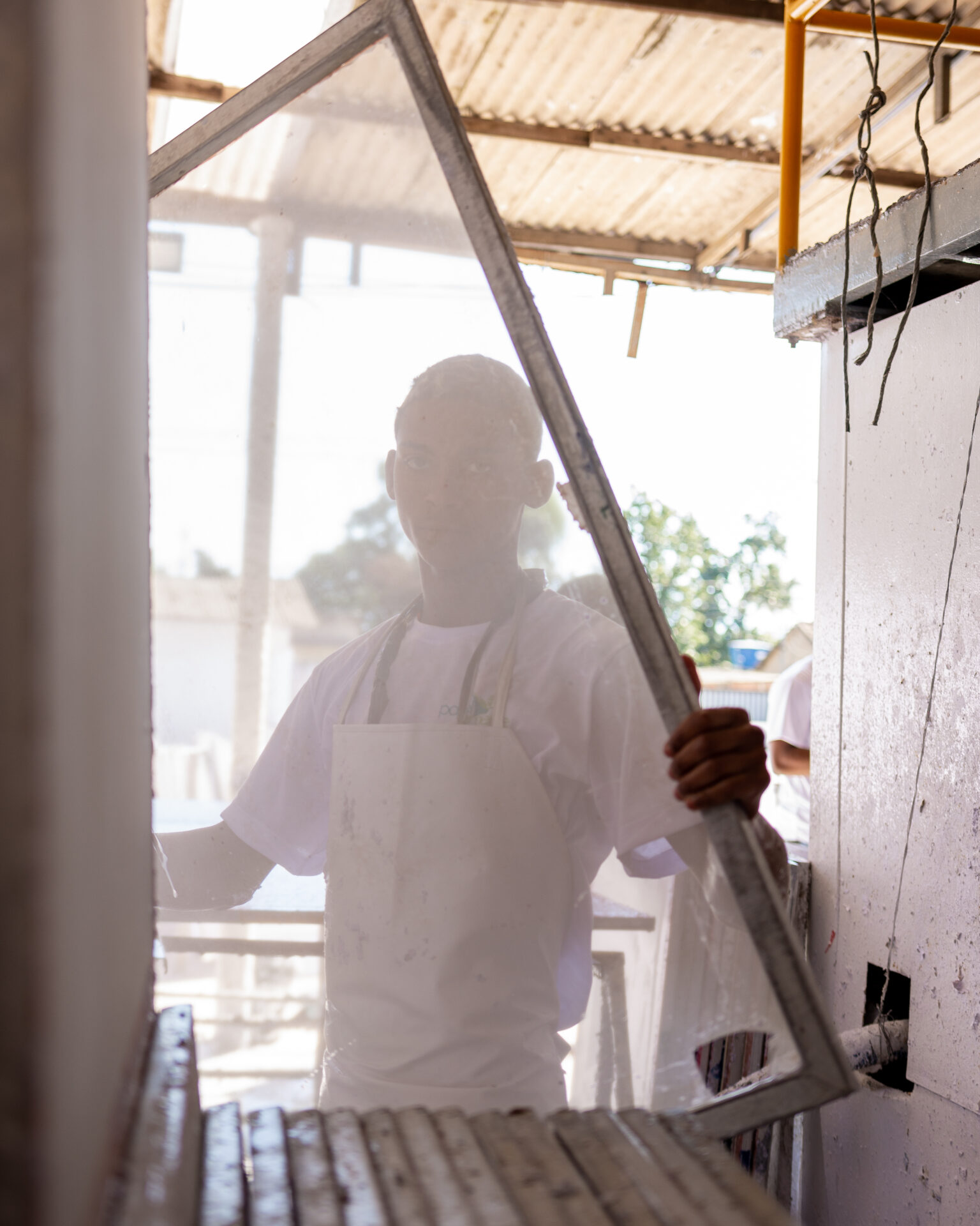 papeis que viram plantas