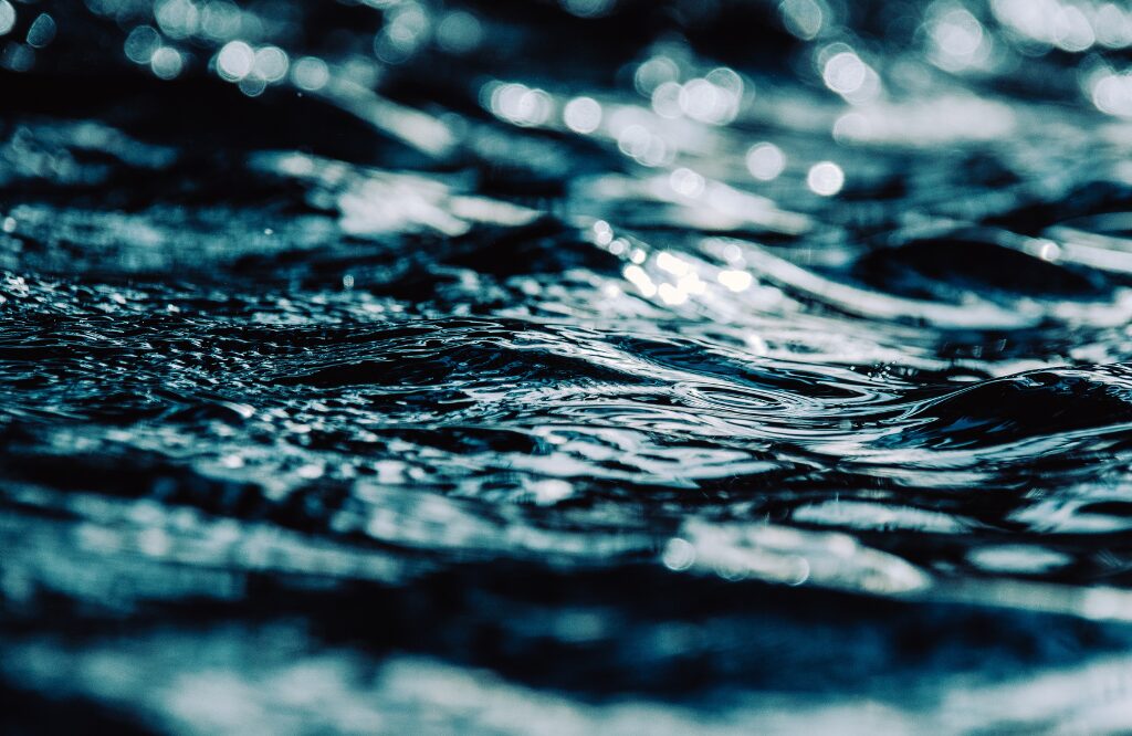 Como ser mais sustentável