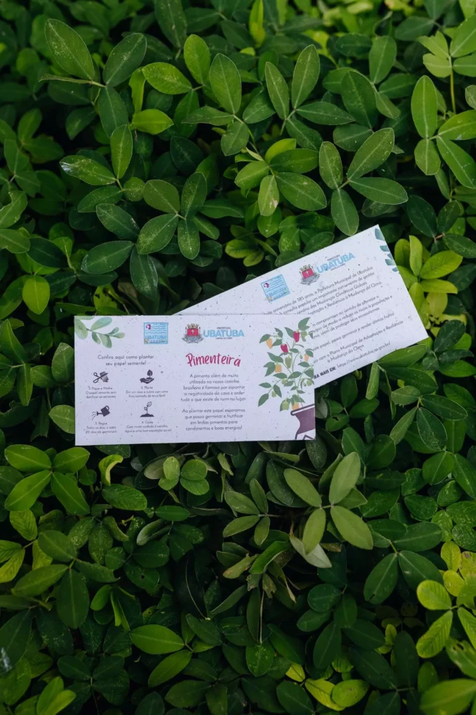 Produtos sustentáveis inovadores