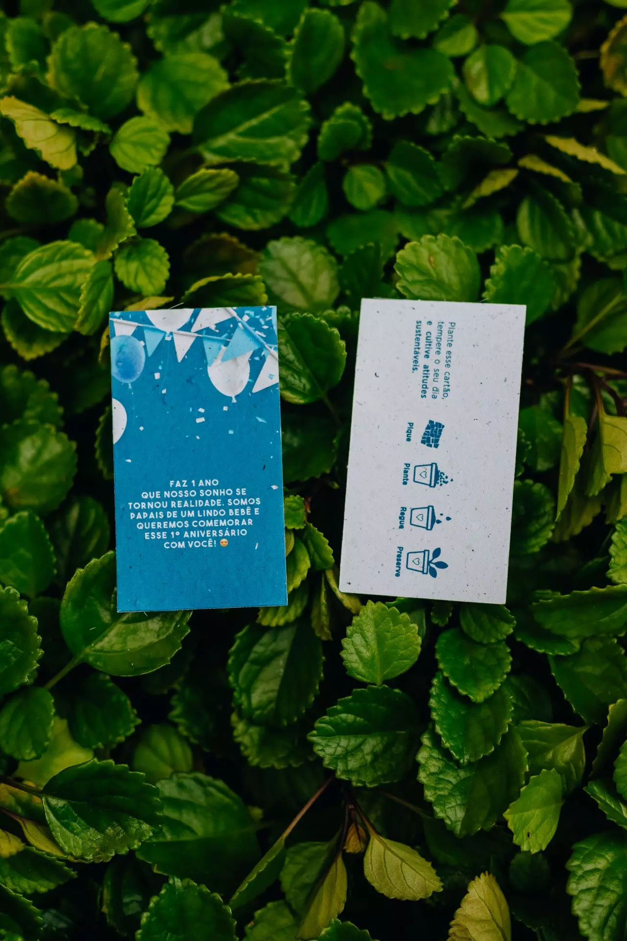 dicas para carnaval sustentável