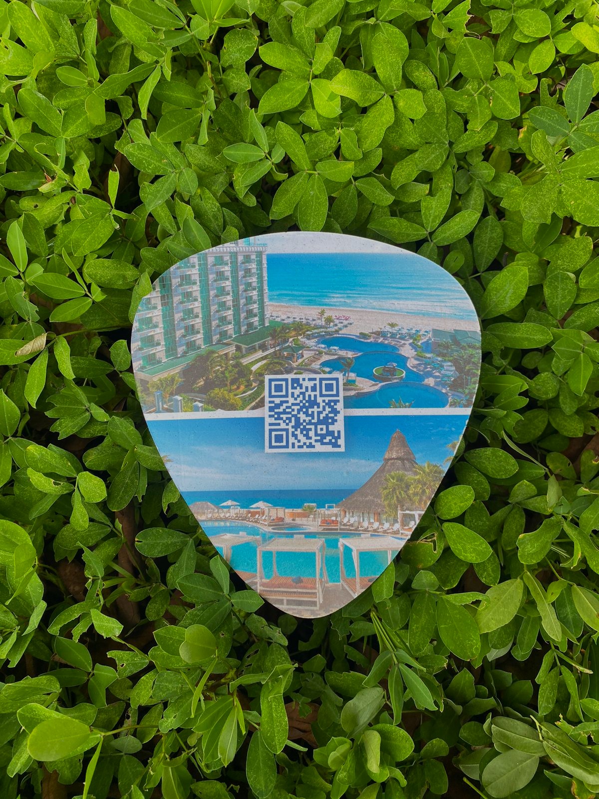 Dicas para um carnaval sustentável