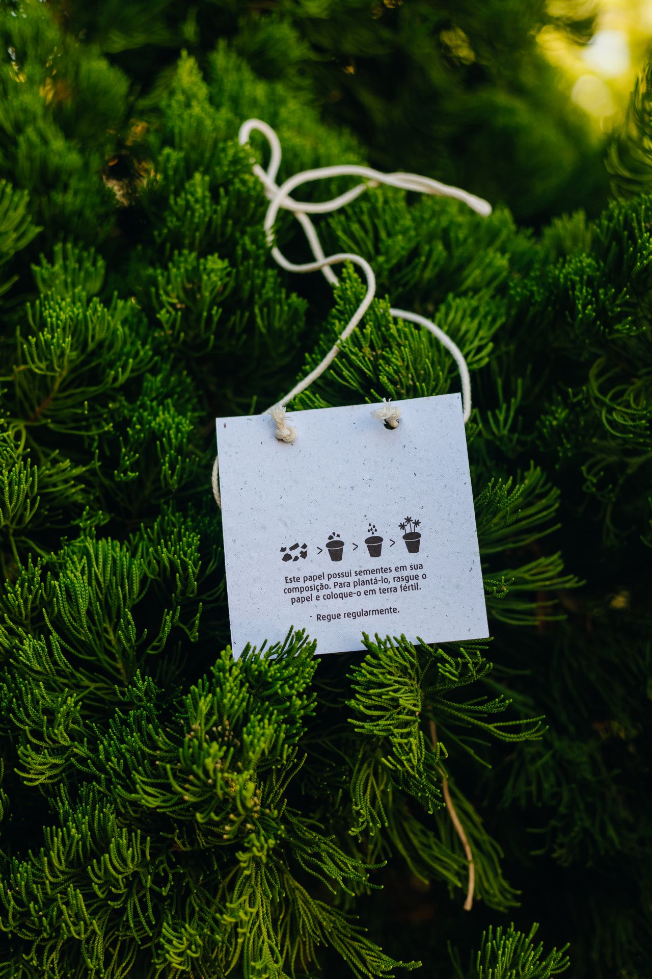 crachá para eventos