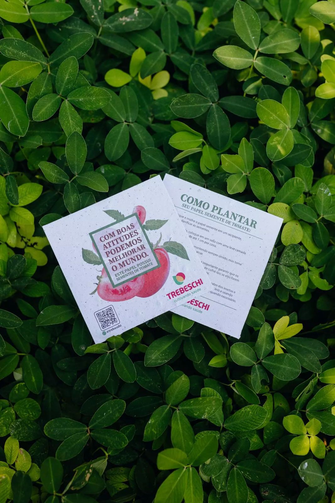 brindes copa do mundo personalizados