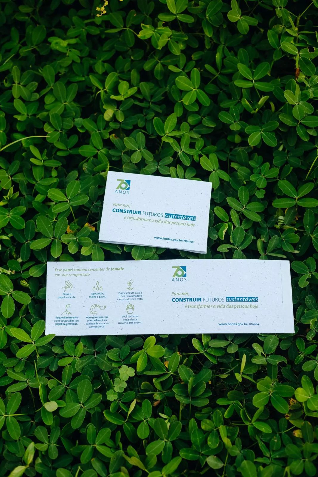 brinde de copa do mundo