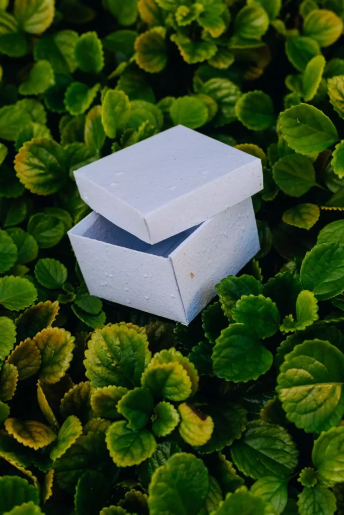 brinde copa do mundo