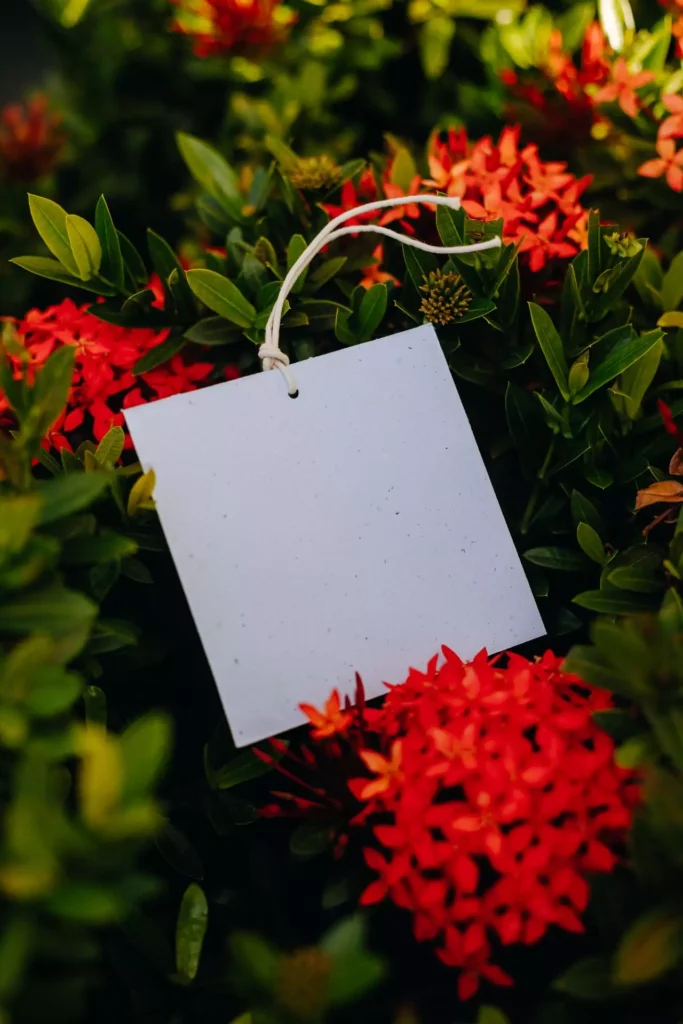 papelaria personalizada dia das mães