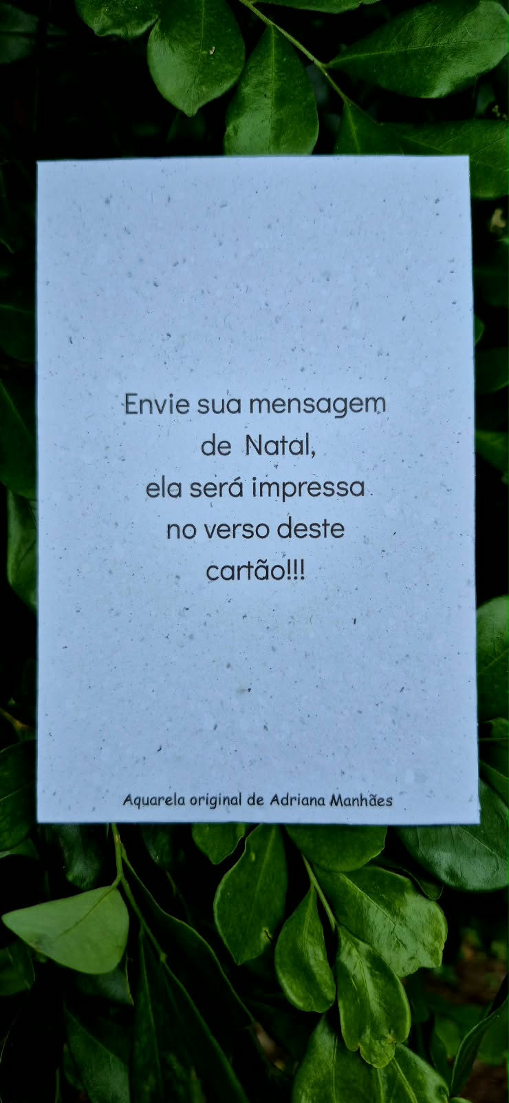 Cartão de Natal Sustentável - Image 2